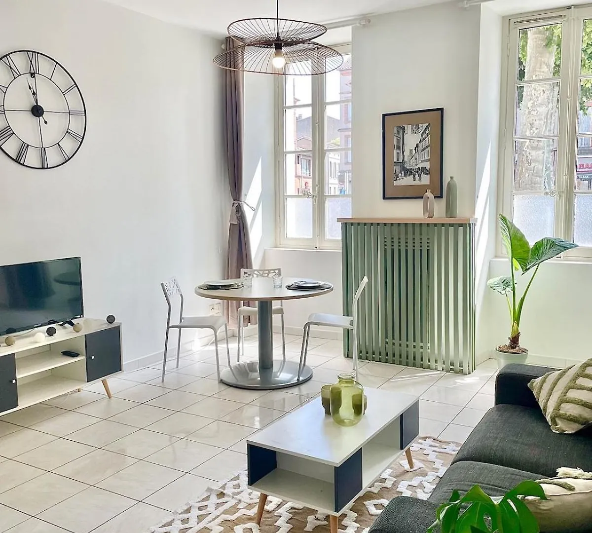 Appartement Albi France
